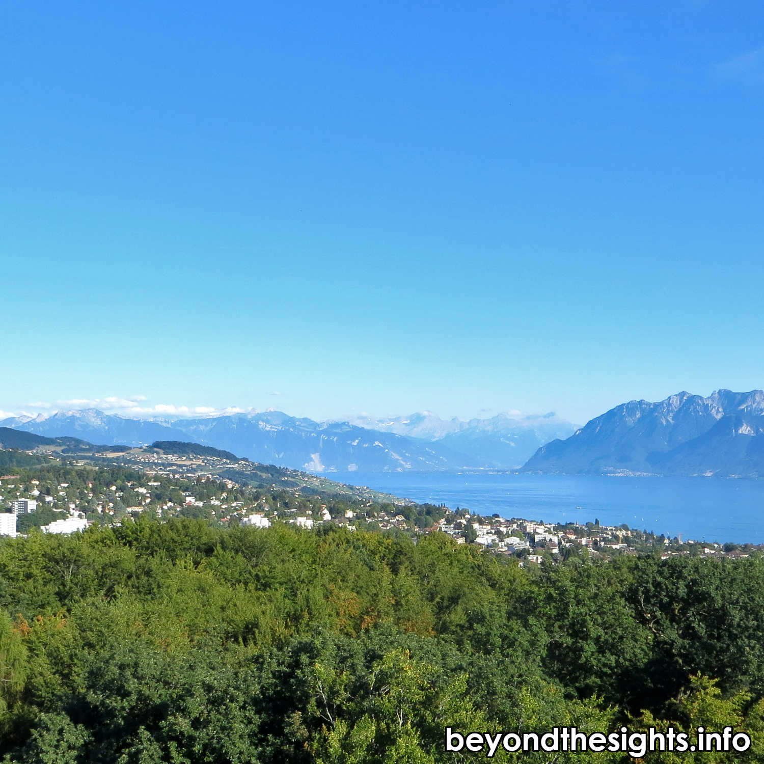 View of the Alps from the Sauvabelin Tower